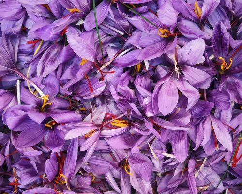 saffron role in Iranian dishes